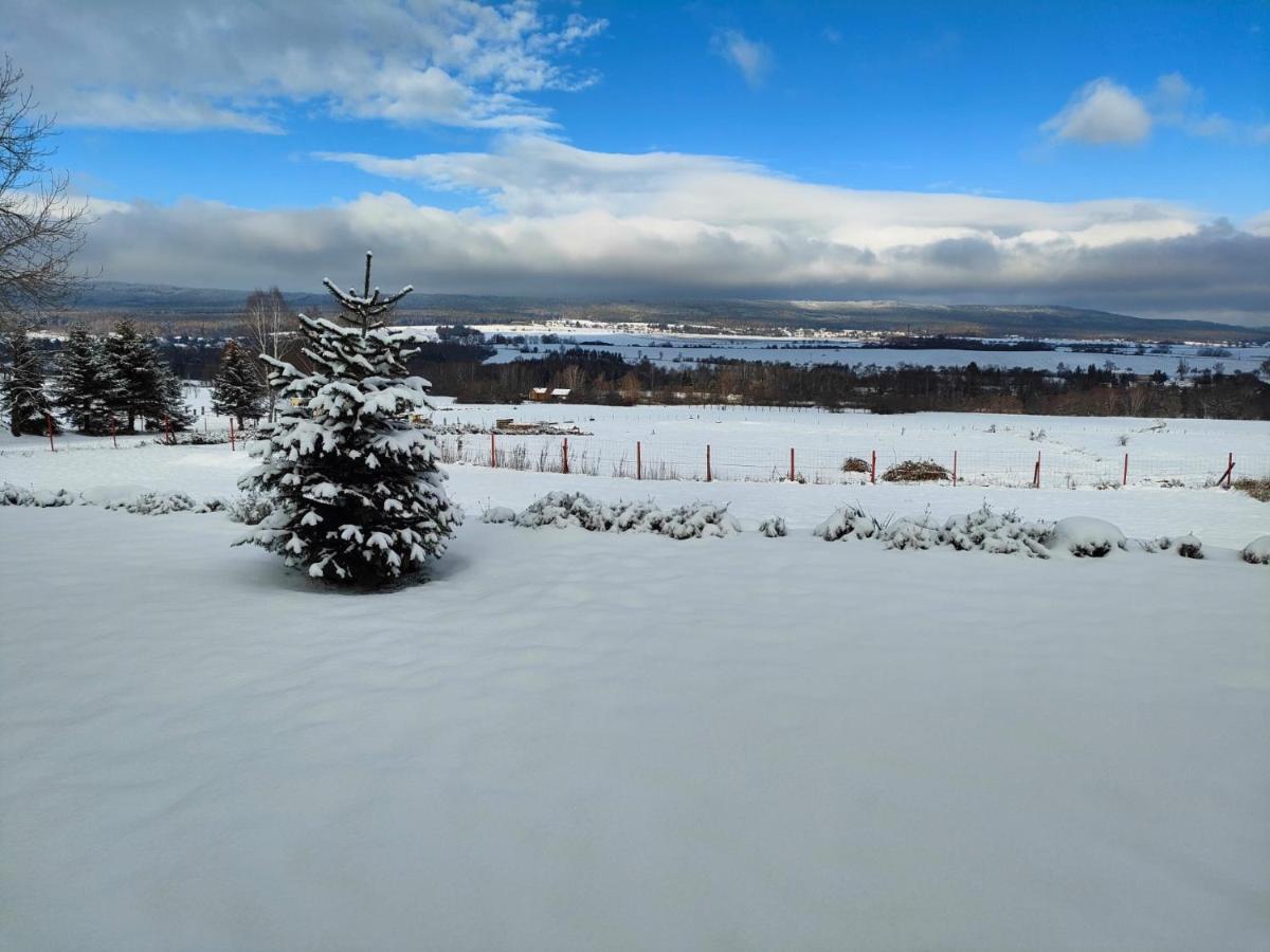Willa Panorama House Brdy Příbram Zewnętrze zdjęcie