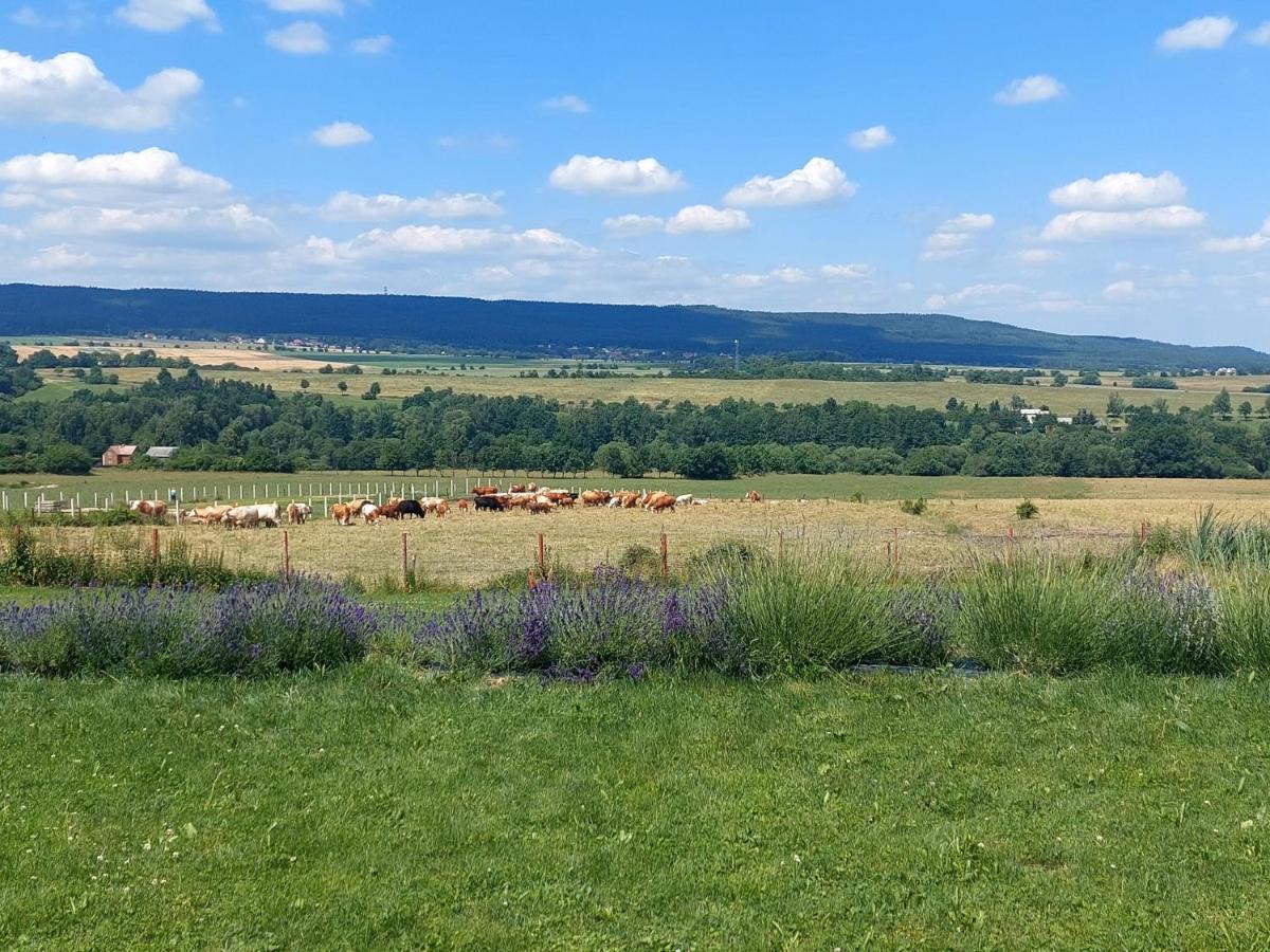 Willa Panorama House Brdy Příbram Zewnętrze zdjęcie
