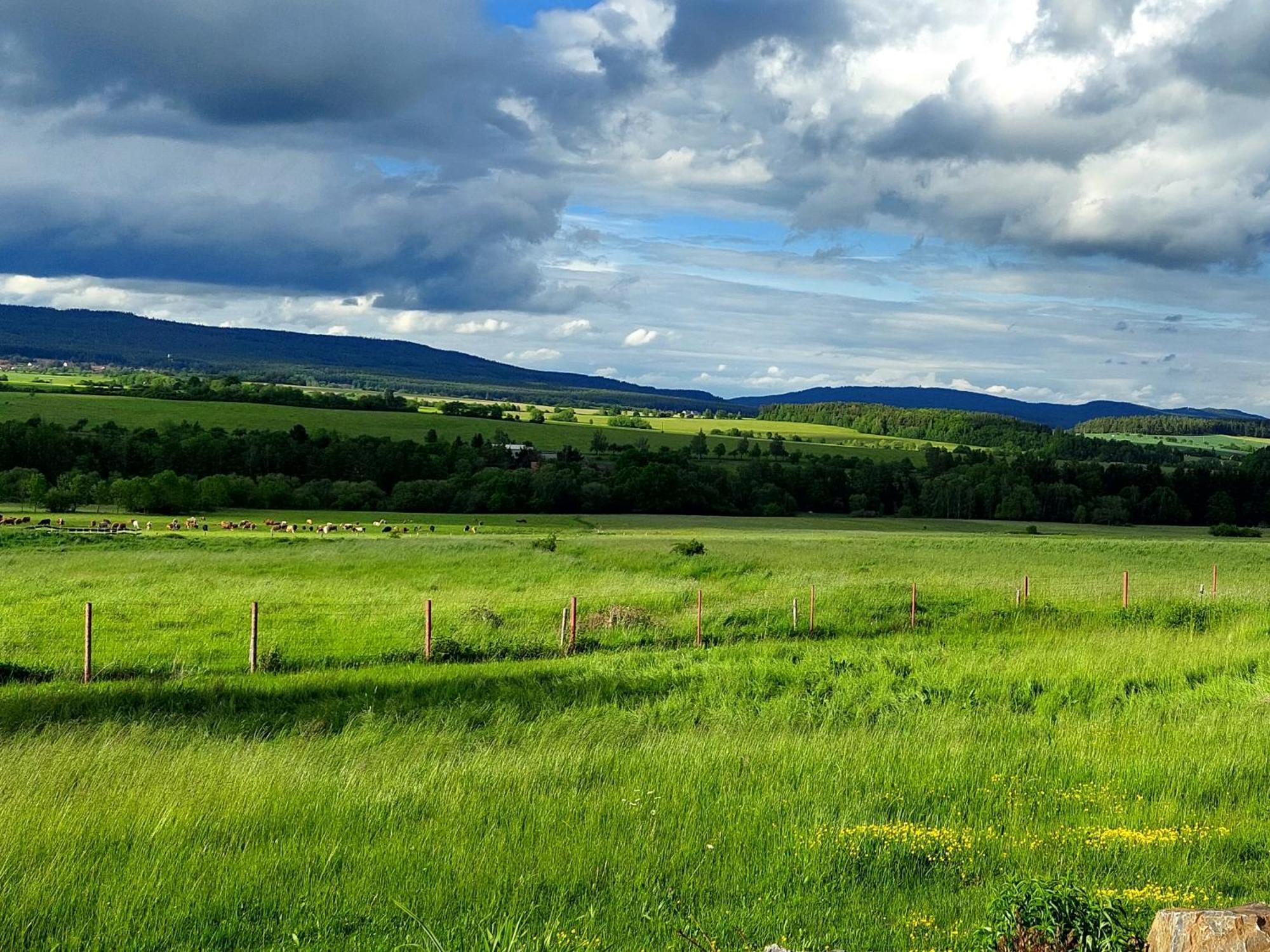 Willa Panorama House Brdy Příbram Zewnętrze zdjęcie
